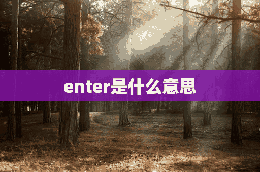 enter是什么意思(e是什么意思)